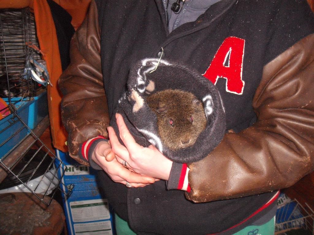 DSCF2818.jpg