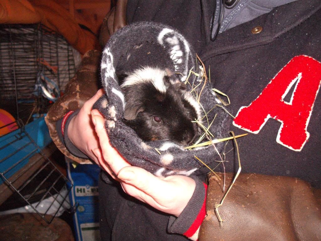 DSCF2820.jpg