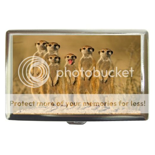 New Meerkat Group Cigarette Money Card Case Box Holder  