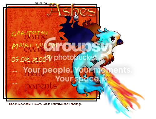 User Image