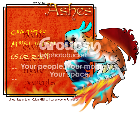 User Image