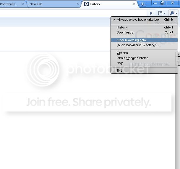 Chrome_history.jpg