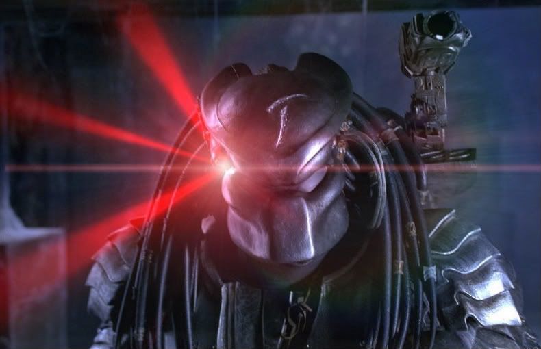 https://i270.photobucket.com/albums/jj86/adrock5602/Predator.jpg