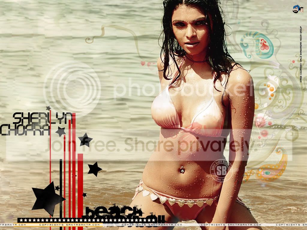 she15a.jpg
